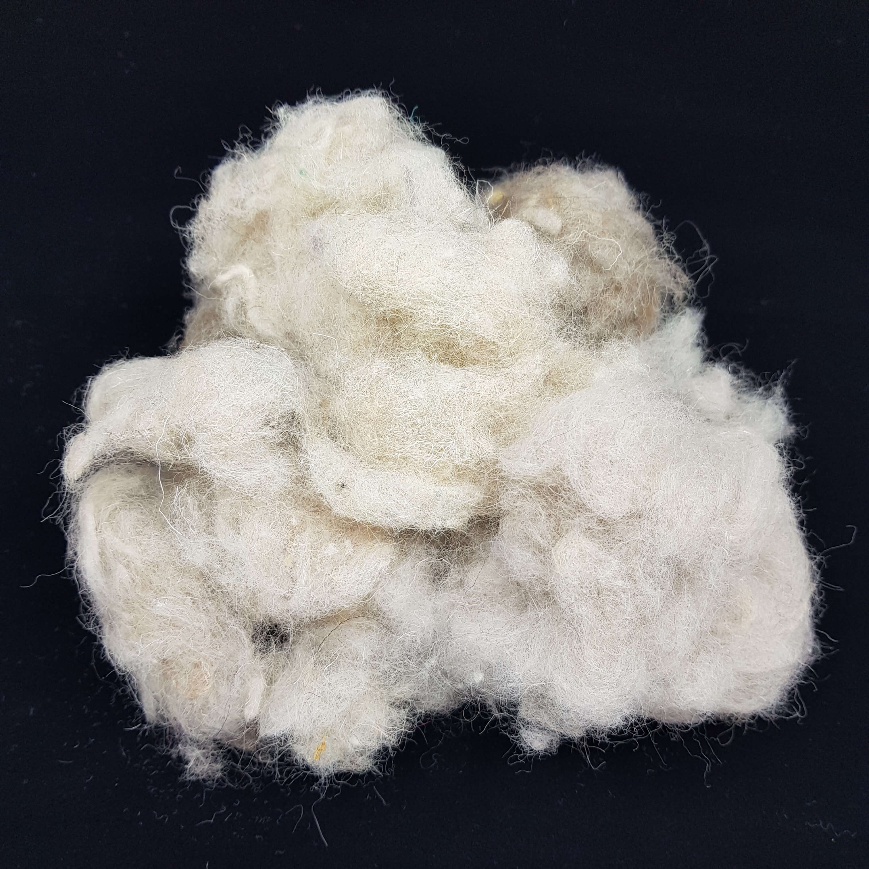 Recycled textile fiber - Neaustima